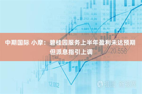中期国际 小摩：碧桂园服务上半年盈利未达预期 但派息指引上调