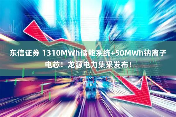 东信证券 1310MWh储能系统+50MWh钠离子电芯！龙源电力集采发布！